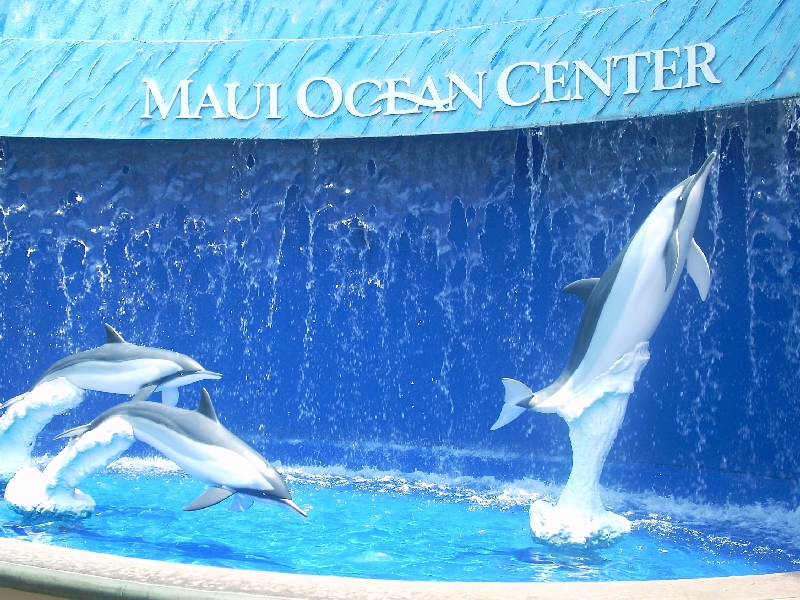 Various pictures of MOC