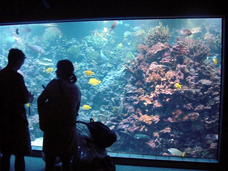 Various pictures of MOC