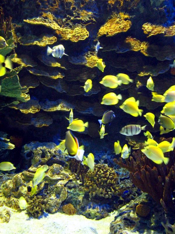 Various pictures of MOC