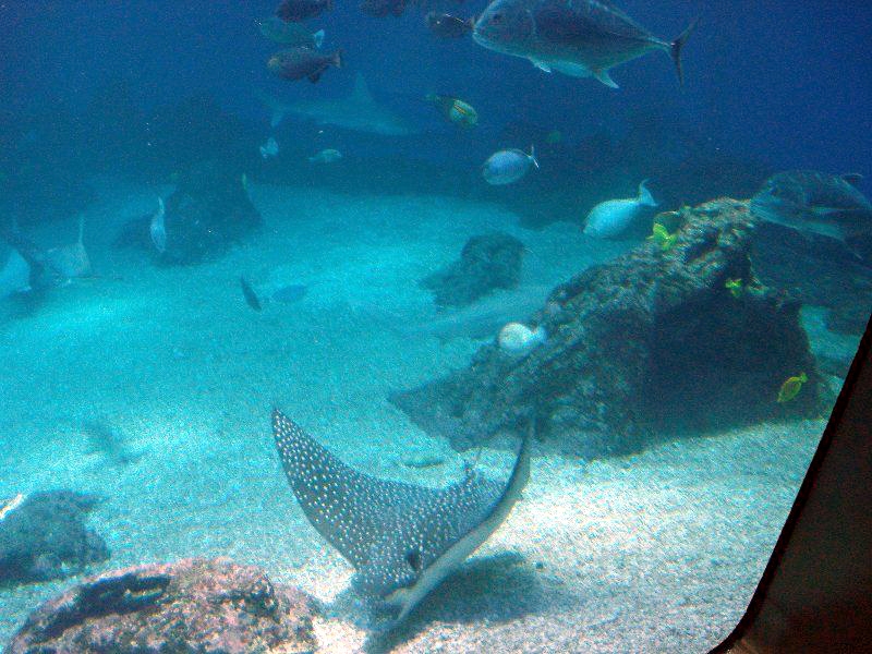 Various pictures of MOC