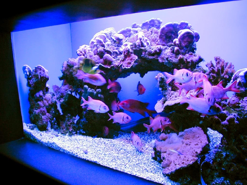 Various pictures of MOC