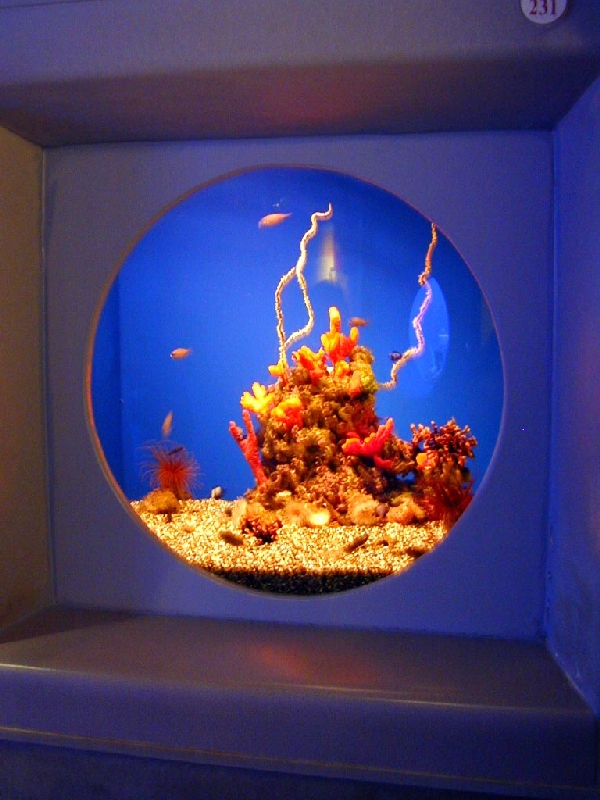 Various pictures of MOC