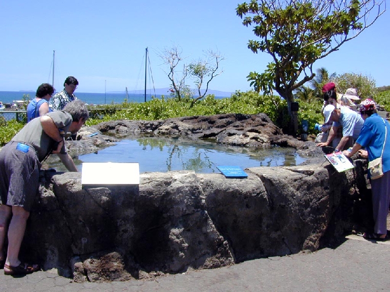 Various pictures of MOC