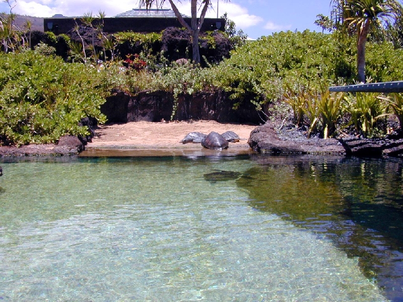 Various pictures of MOC