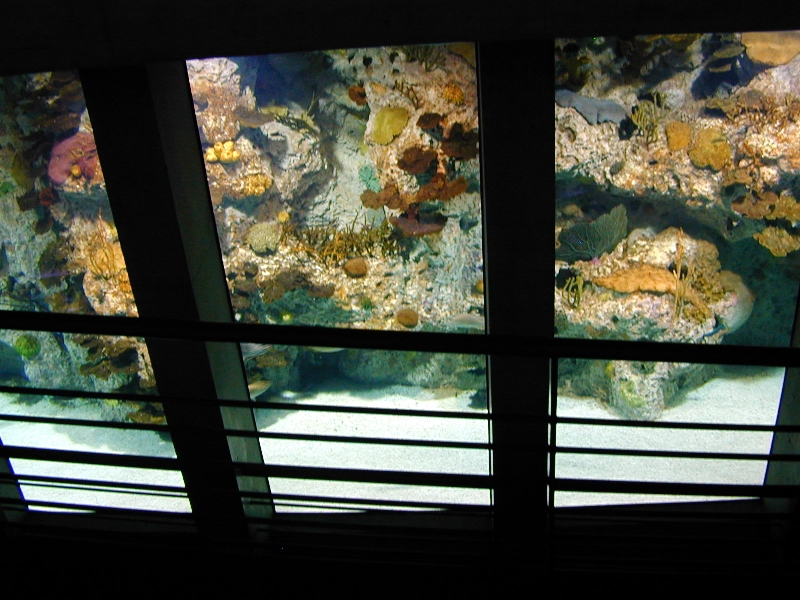 Various pictures of NAIB