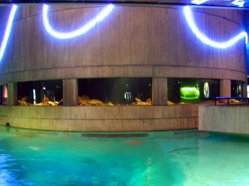 Various pictures of NAIB