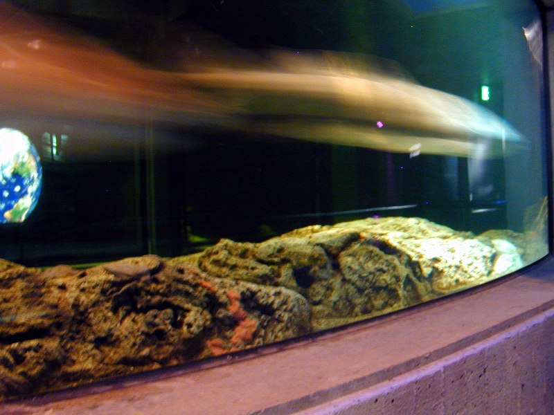 Various pictures of NAIB