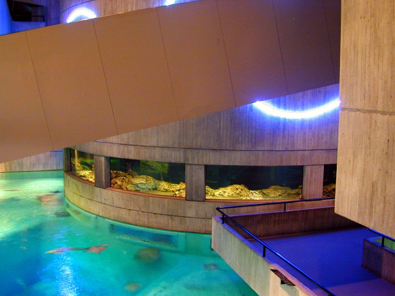 Various pictures of NAIB