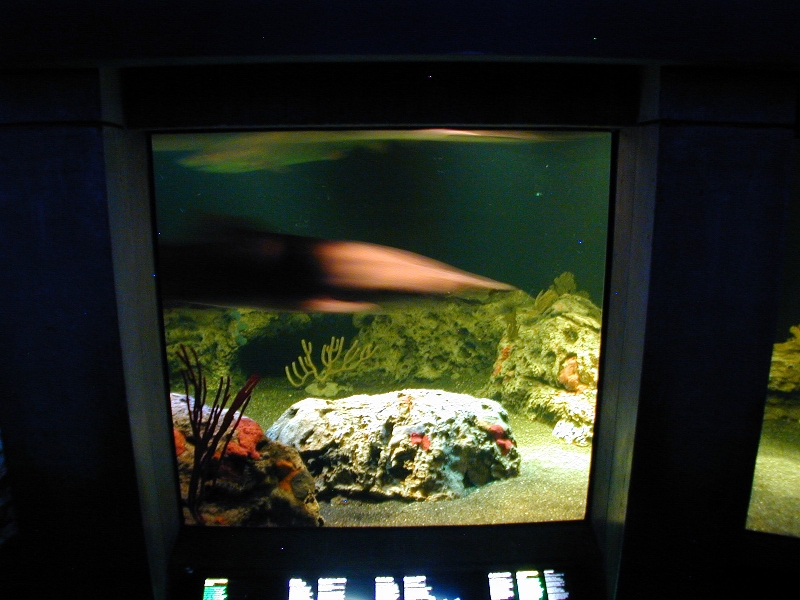 Various pictures of NAIB