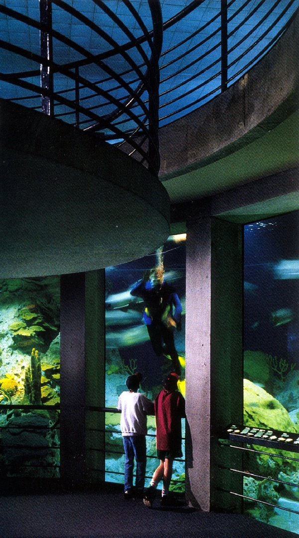 Various pictures of NAIB