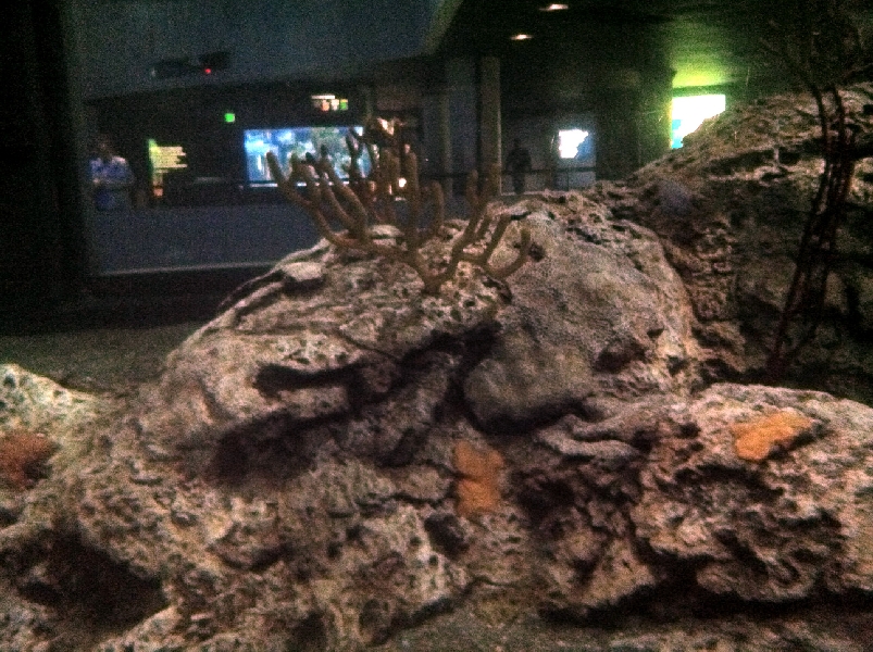 Various pictures of NAIB