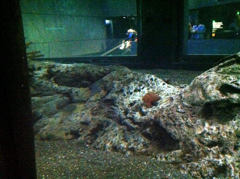 Various pictures of NAIB