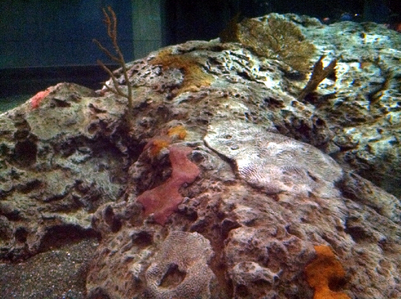 Various pictures of NAIB