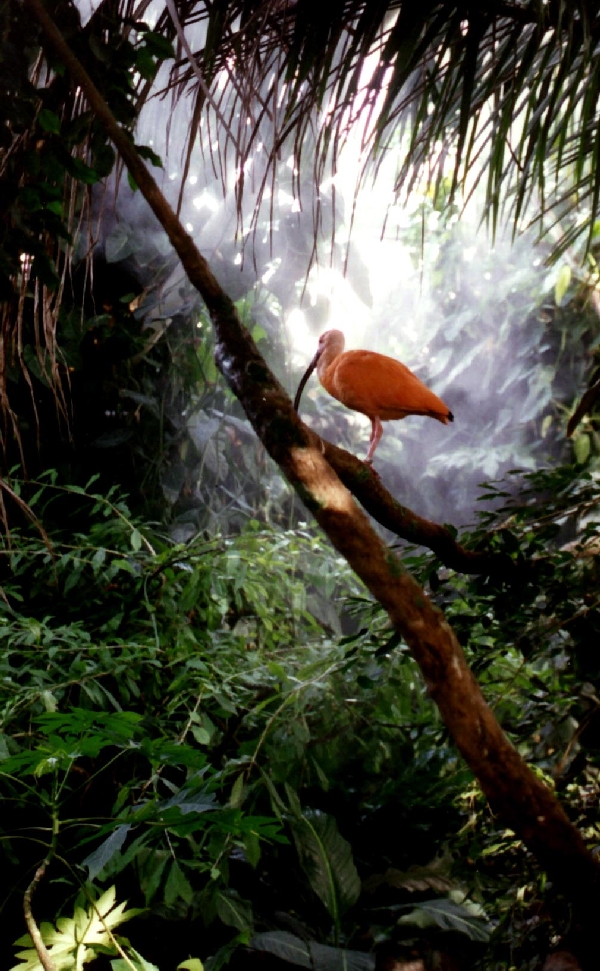 Various pictures of NAIB