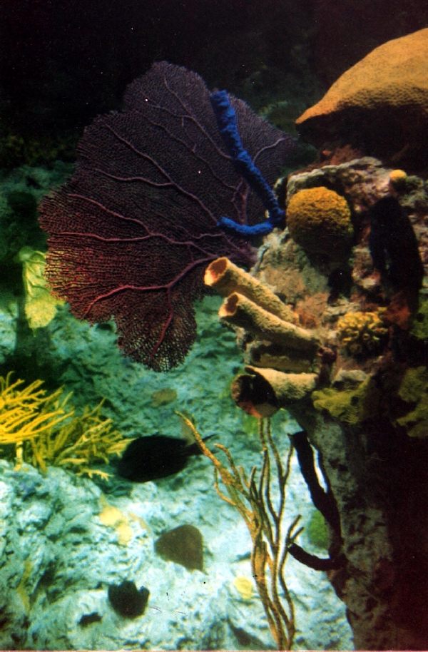 Various pictures of NAIB