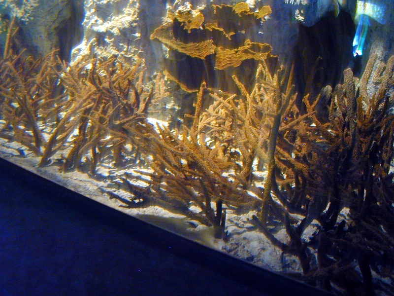 Various pictures of NAIB