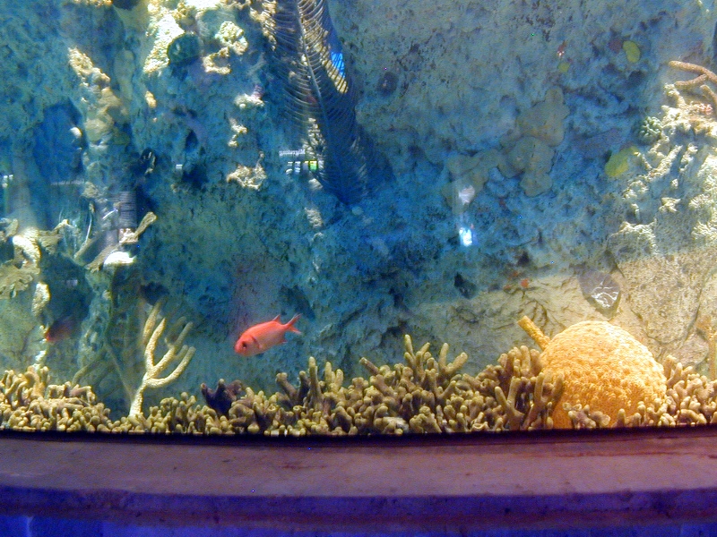 Various pictures of NAIB