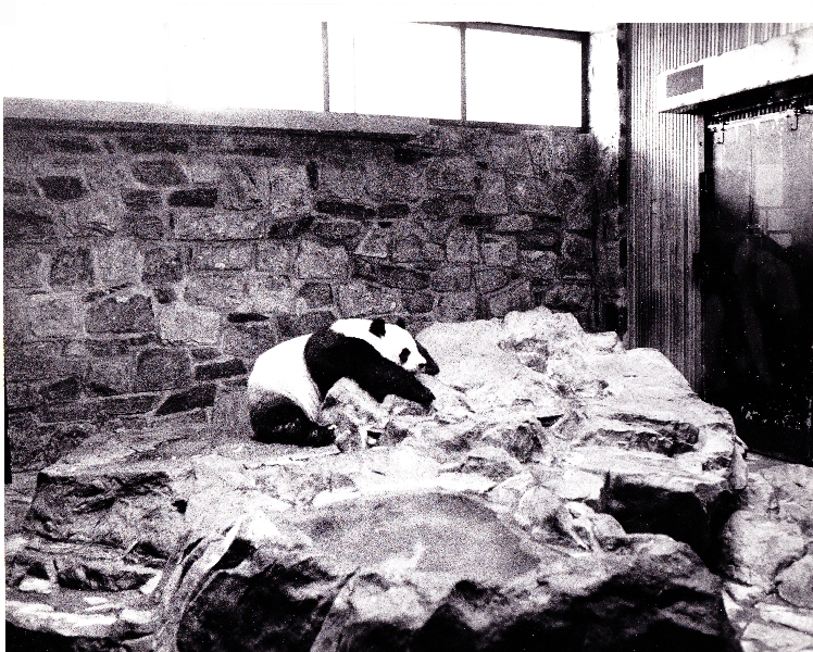 Various pictures of National Zoo in the 70's