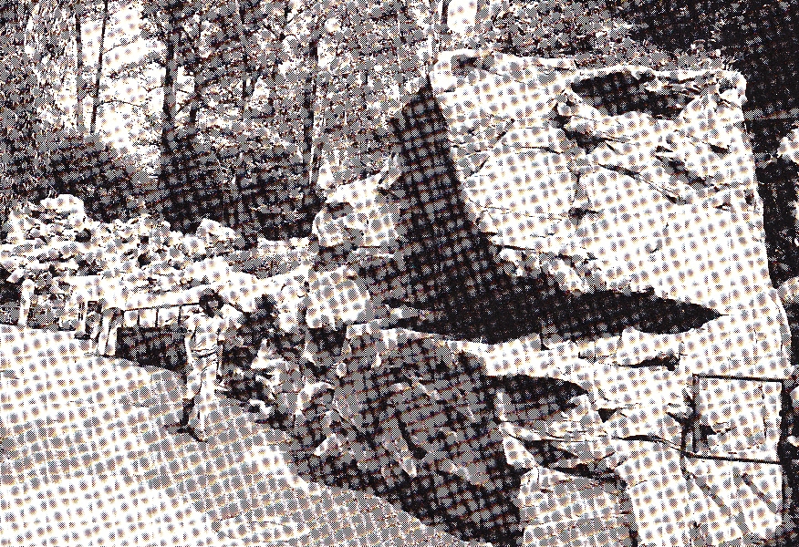 Various pictures of National Zoo in the 70's