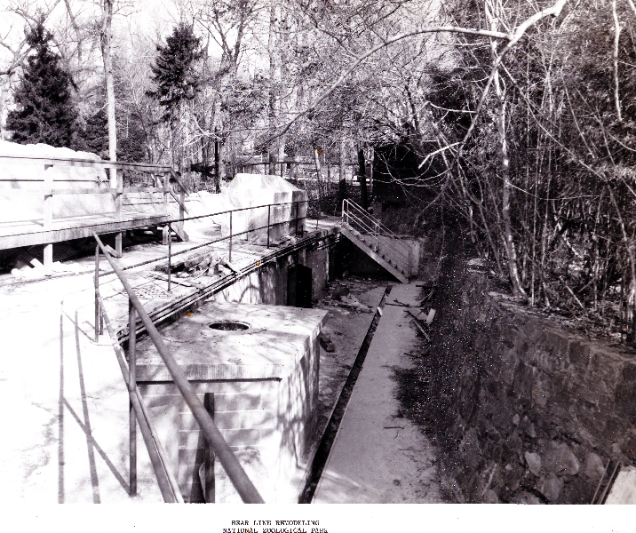 Various pictures of National Zoo in the 70's