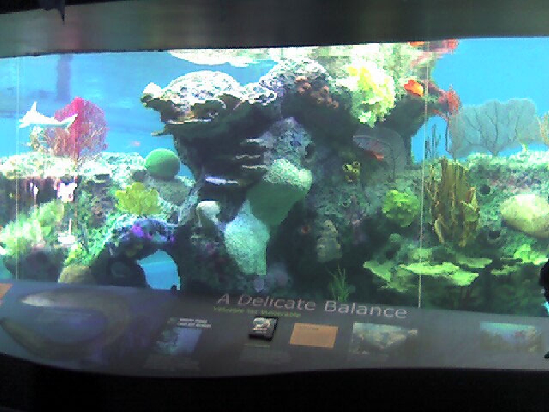 Various pictures of NY Aquarium