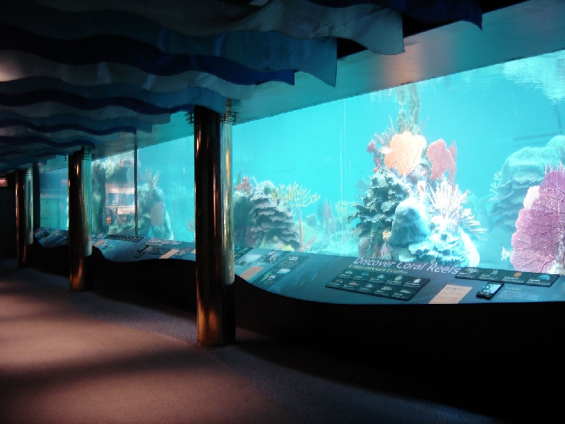 Various pictures of NY Aquarium