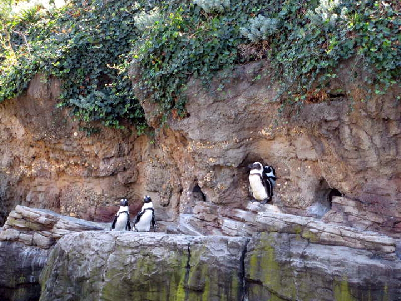 Various pictures of NY Aquarium