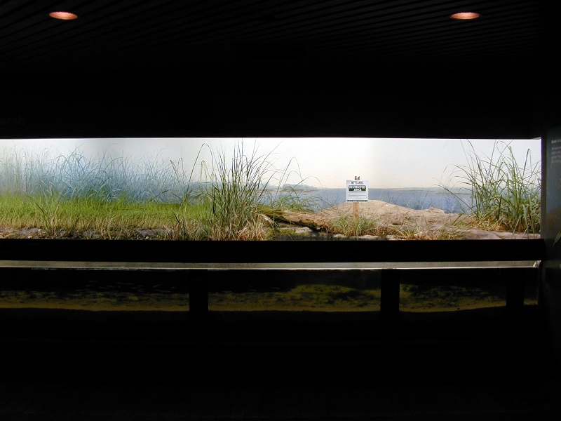 Various pictures of NY Aquarium