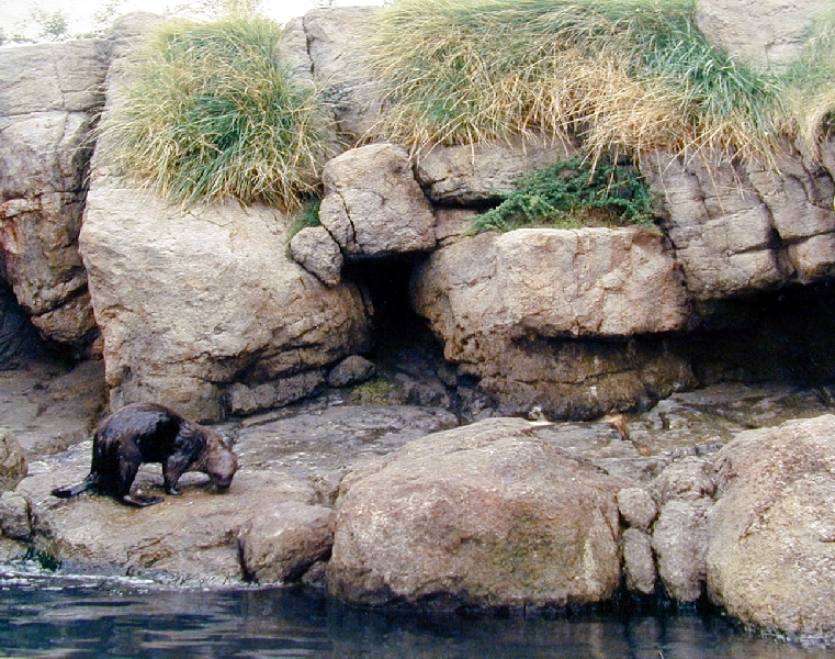 Various pictures of NY Aquarium