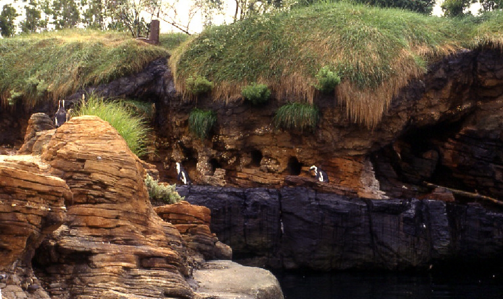 Various pictures of NY Aquarium