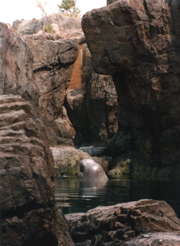 Various pictures of NY Aquarium