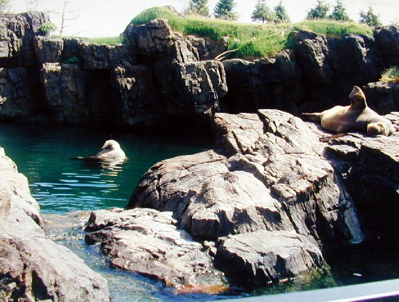 Various pictures of NY Aquarium