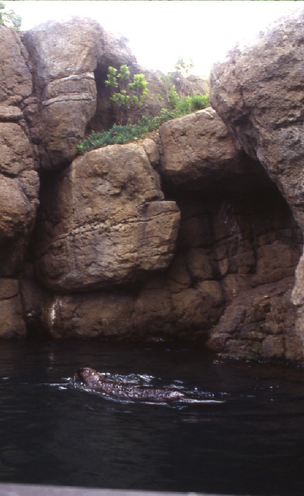 Various pictures of NY Aquarium
