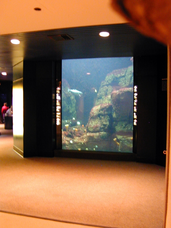 Various pictures of NY Aquarium