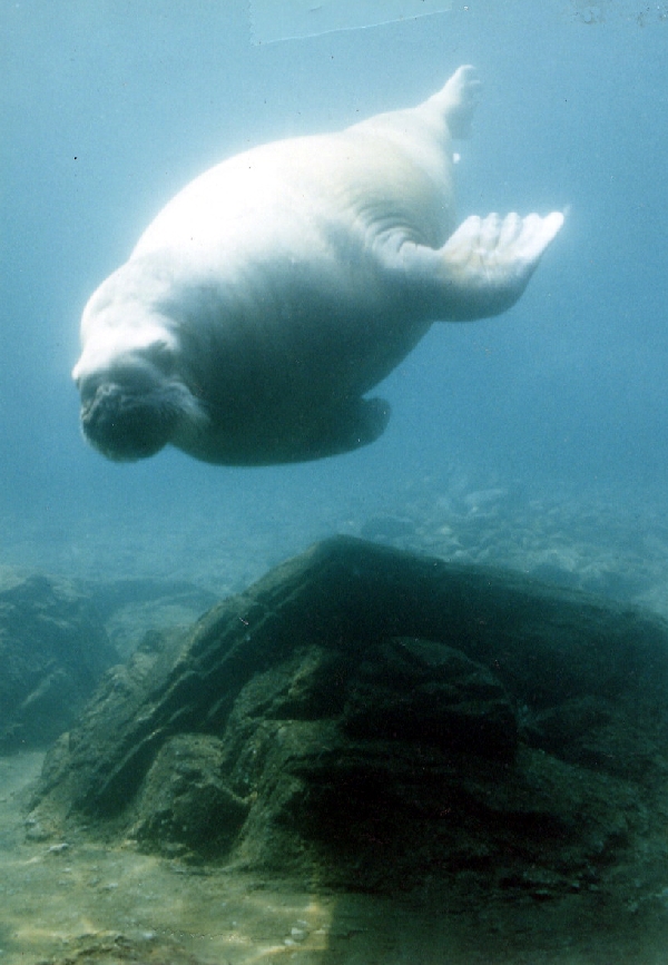 Various pictures of NY Aquarium