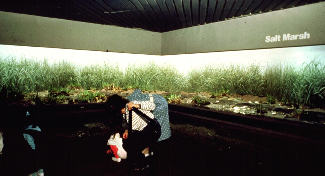 Various pictures of NY Aquarium