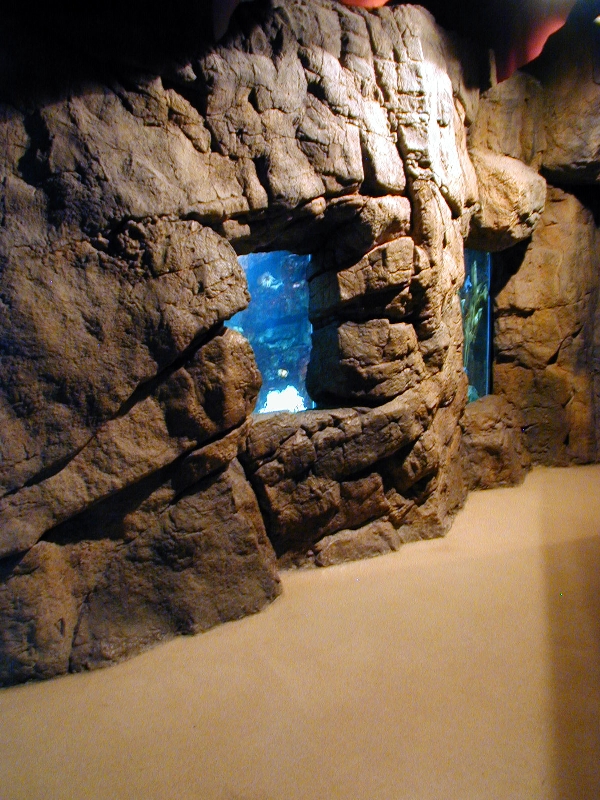 Various pictures of NY Aquarium