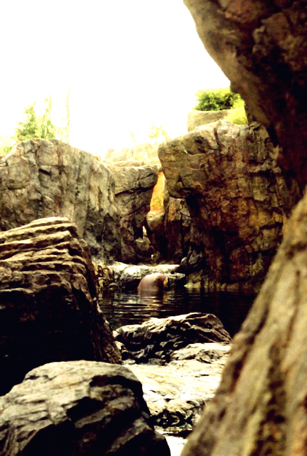 Various pictures of NY Aquarium