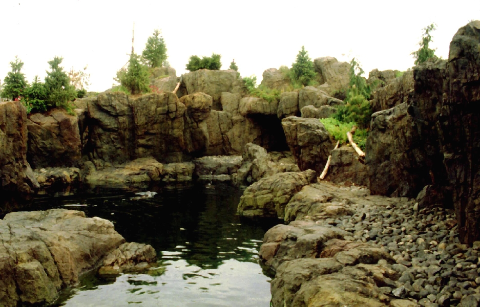 Various pictures of NY Aquarium