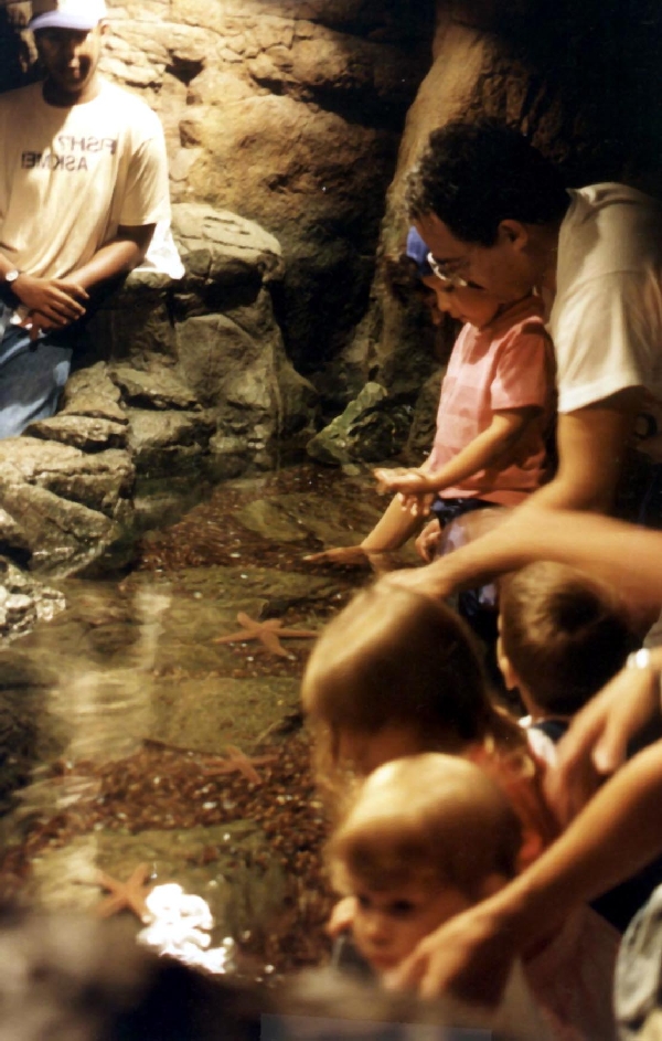 Various pictures of NY Aquarium