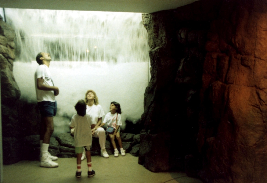 Various pictures of NY Aquarium