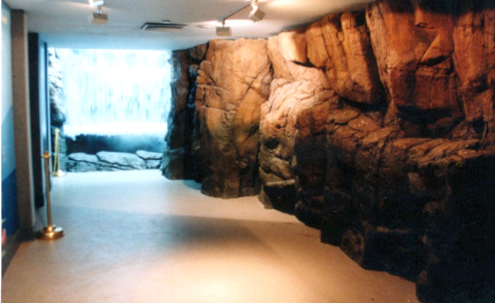 Various pictures of NY Aquarium