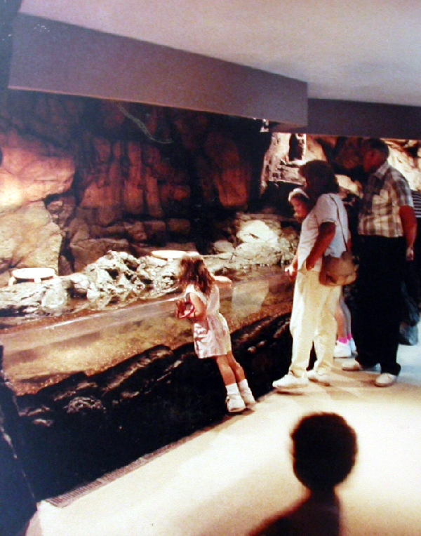 Various pictures of NY Aquarium