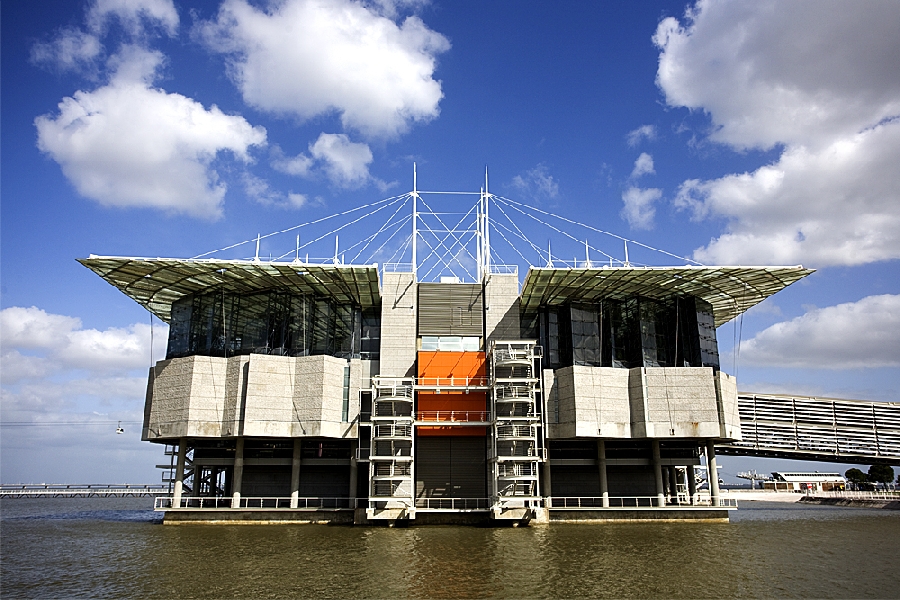Various Pictures of Oceanario de Lisboa
