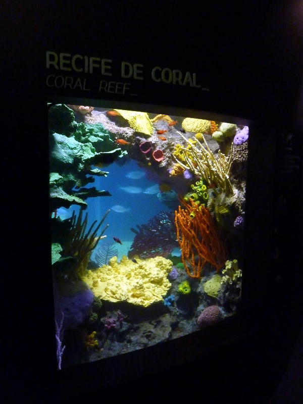 Various Pictures of Oceanario de Lisboa