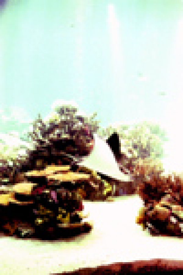 Various Pictures of Oceanario de Lisboa