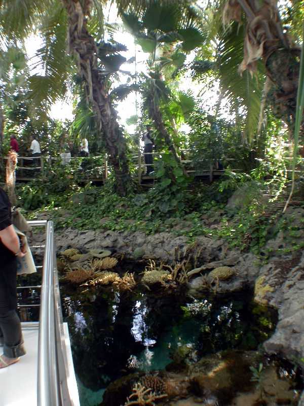 Various Pictures of Oceanario de Lisboa