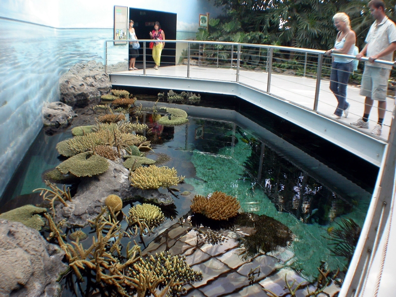 Various Pictures of Oceanario de Lisboa