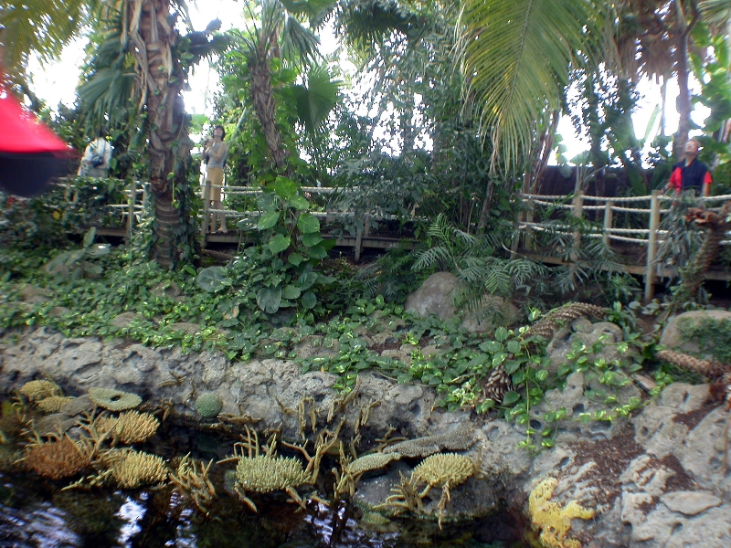 Various Pictures of Oceanario de Lisboa