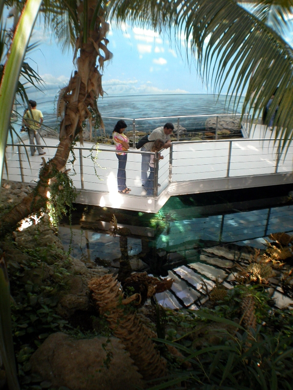 Various Pictures of Oceanario de Lisboa